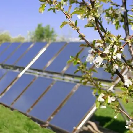 乡村民宿 El Canchal De La Gallina -cafeteria -aparcamiento Gratis - Jacuzzi - Piscina De Agua Caliente Abierta Desde El 28 De Marzo