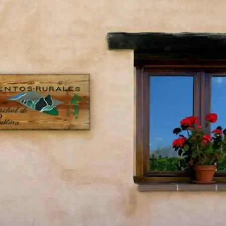 Casa rural El Canchal De La Gallina -cafetería - Piscina De Agua Caliente Hasta 19 De Octubre -aparcamiento Gratis - Jacuzzi