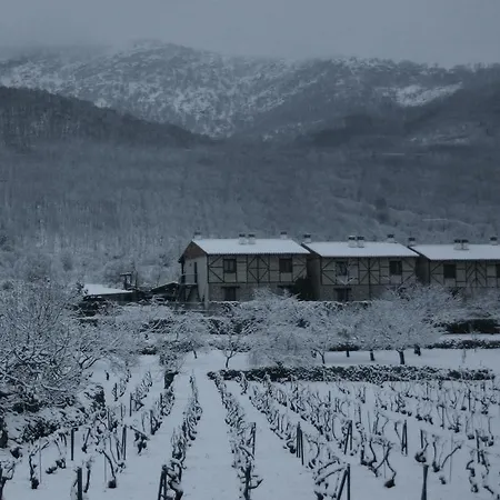 El Canchal De La Gallina -cafeteria -aparcamiento Gratis - Jacuzzi - Piscina De Agua Caliente Abierta Desde El 28 De Marzo 乡村民宿 *
