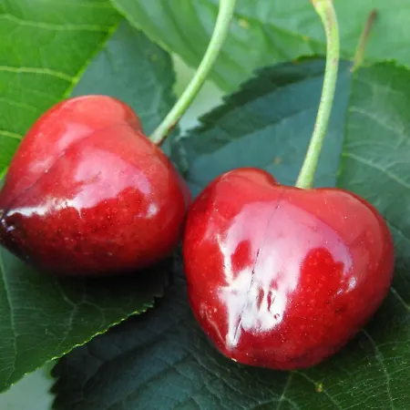 El Canchal De La Gallina -cafetería - Piscina De Agua Caliente Hasta 19 De Octubre -aparcamiento Gratis - Jacuzzi * Hervás