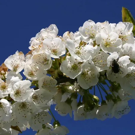 Casa de Campo El Canchal De La Gallina -cafetería - Piscina De Agua Caliente Hasta 19 De Octubre -aparcamiento Gratis - Jacuzzi *