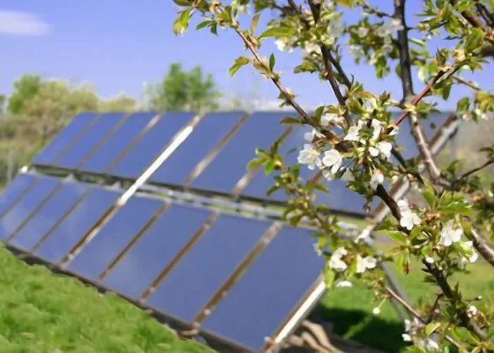 Летний дом El Canchal De La Gallina -cafeteria -aparcamiento Gratis - Jacuzzi - Piscina De Agua Caliente Abierta Desde El 28 De Marzo